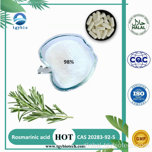 Tongkat Ali Extract 100% Natural Rosemary Extract Powder 98% Rosmarinic Acid Supplier